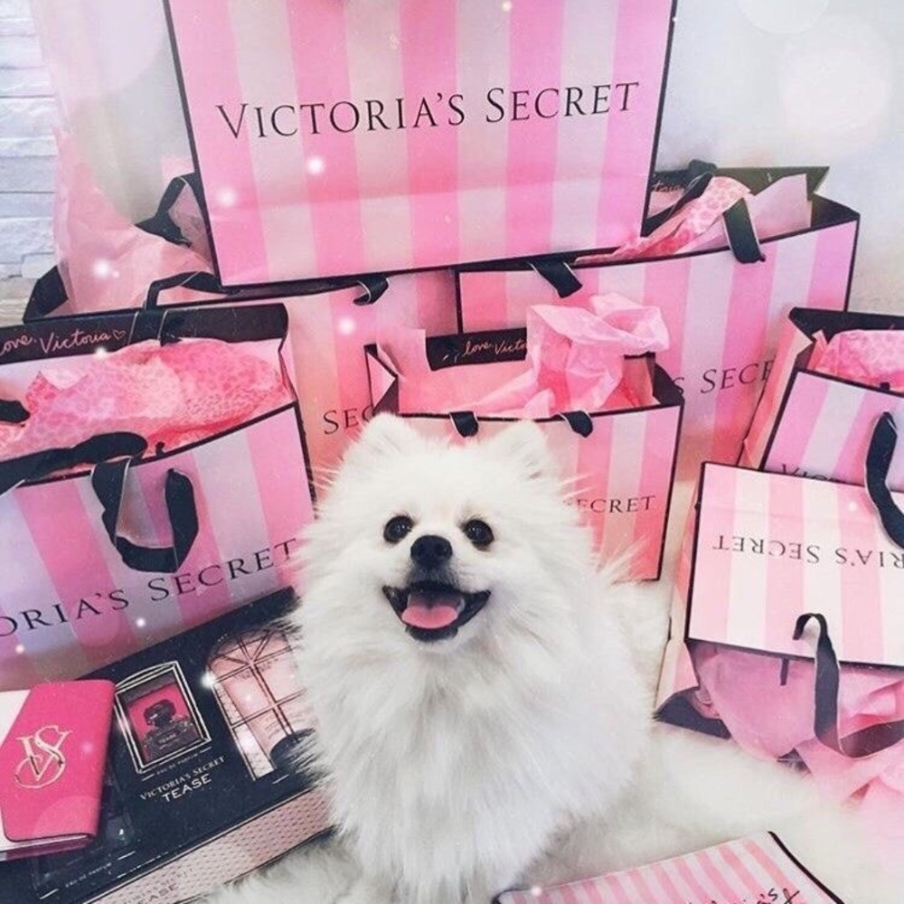 Victoria secret/ PINK VS mystery box - Picture 2 of 7